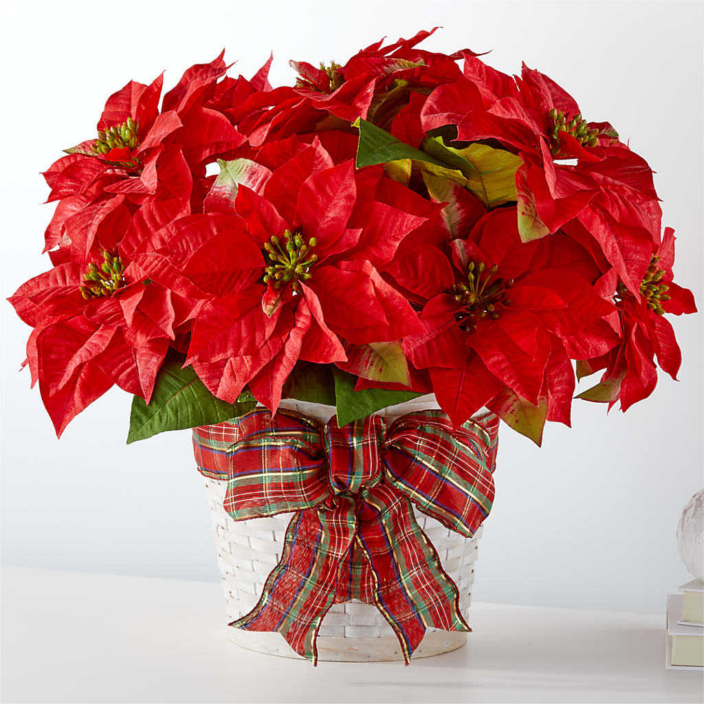 Happiest Holidays Poinsettia – Dickson Florist, Dickson TN
