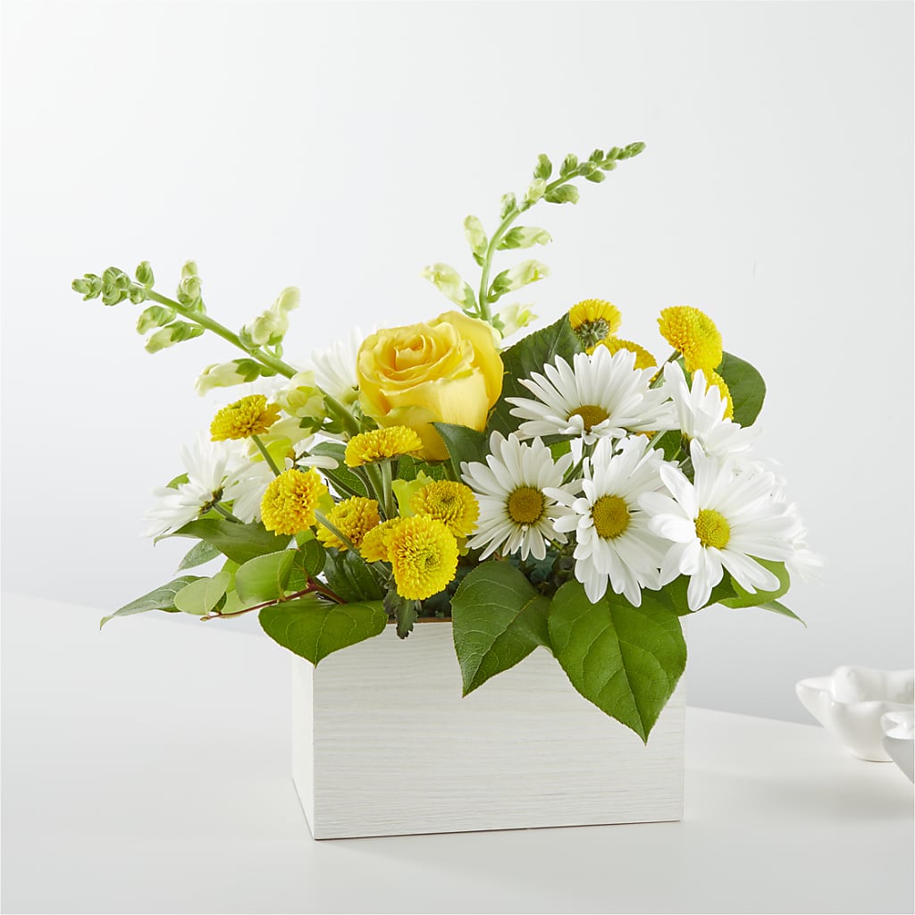 Sun Salutation Box Bouquet – Dickson Florist, Dickson TN