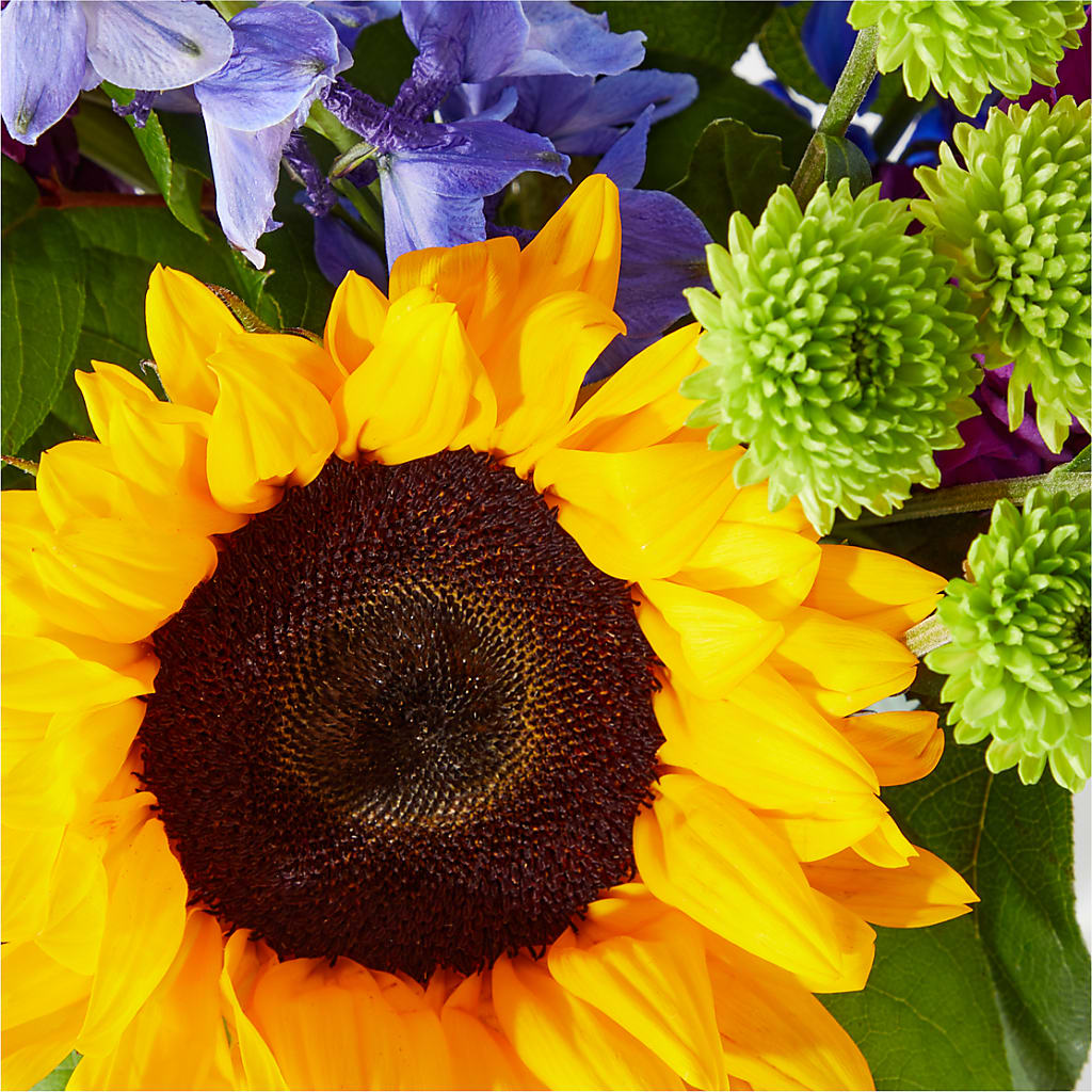 Catching Rays Bouquet – Dickson Florist, Dickson TN
