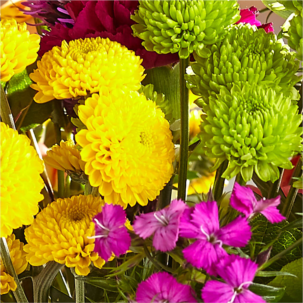 Bold & Bright – A Florist Original –  Dickson Florist, Dickson TN
