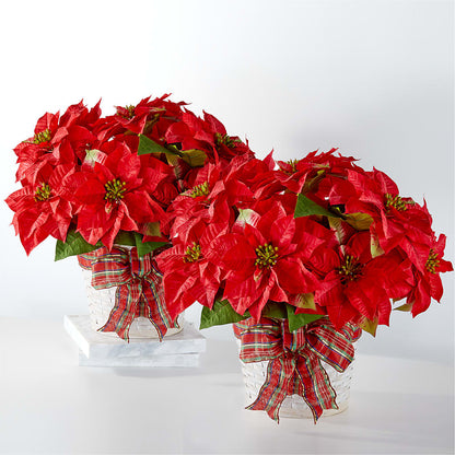 Happiest Holidays Poinsettia Bundle –  Dickson Florist, Dickson TN