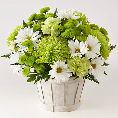 Lucky Charm Basket (Standard) –  Dickson Florist, Dickson TN