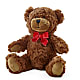 Adorable Plush Bear –  Dickson Florist, Dickson TN