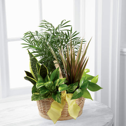 French Garden –  Dickson Florist, Dickson TN