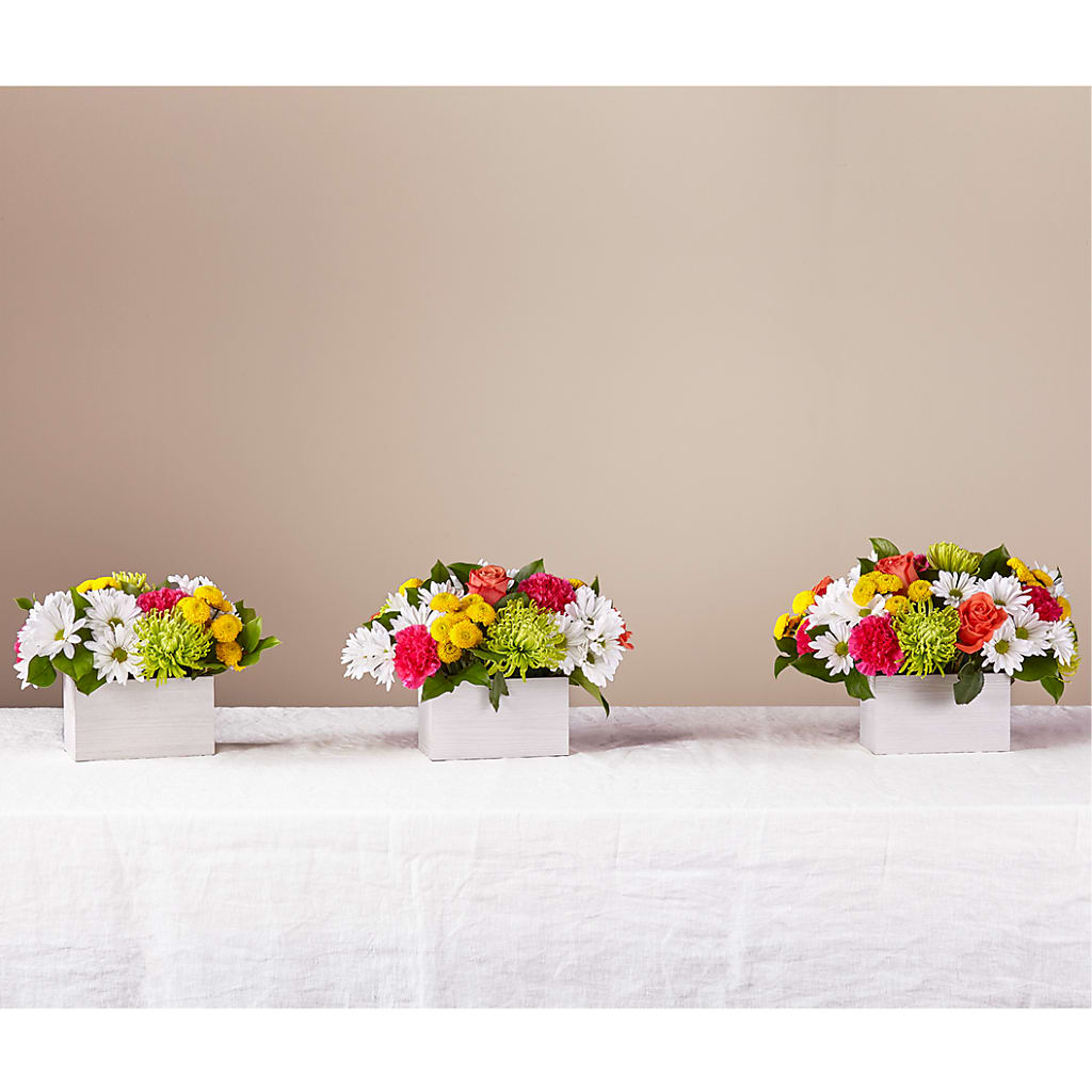Sorbet Bouquet –  Dickson Florist, Dickson TN