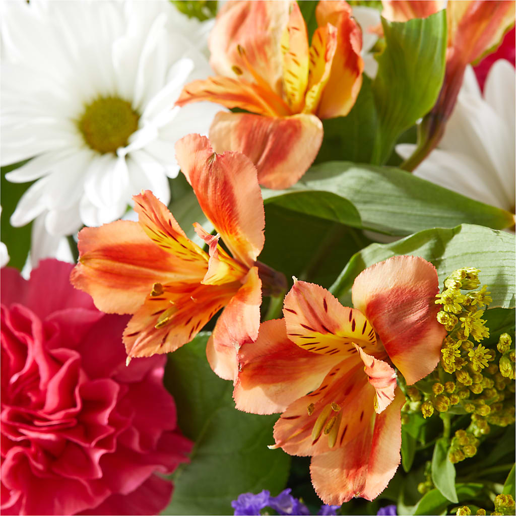 Oopsie Daisy Box Bouquet –  Dickson Florist, Dickson TN
