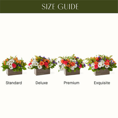 Oopsie Daisy Box Bouquet –  Dickson Florist, Dickson TN