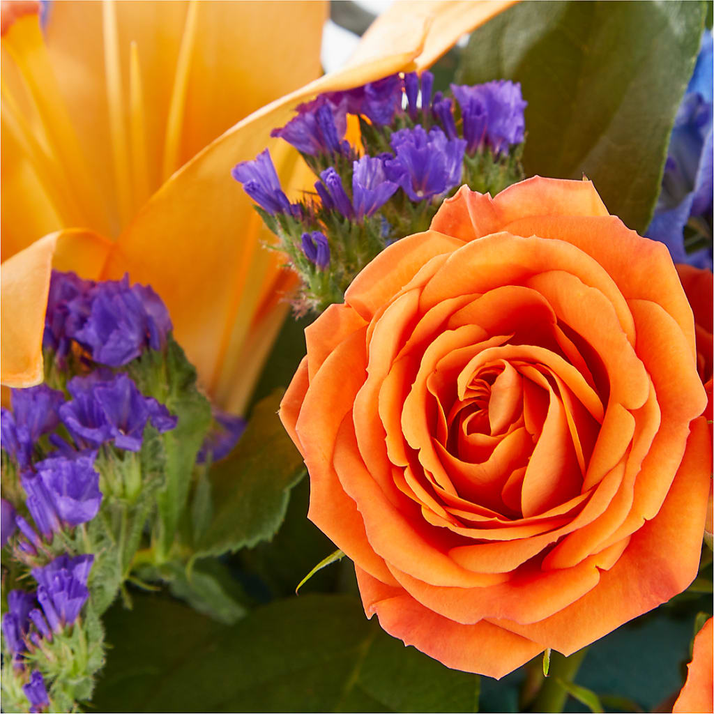 Radiant Citrus Box Bouquet –  Dickson Florist, Dickson TN