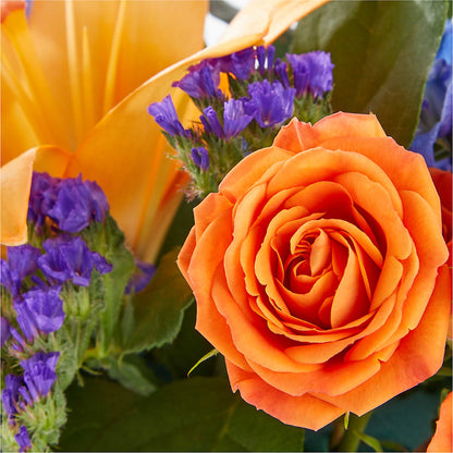 Radiant Citrus Box Bouquet –  Dickson Florist, Dickson TN