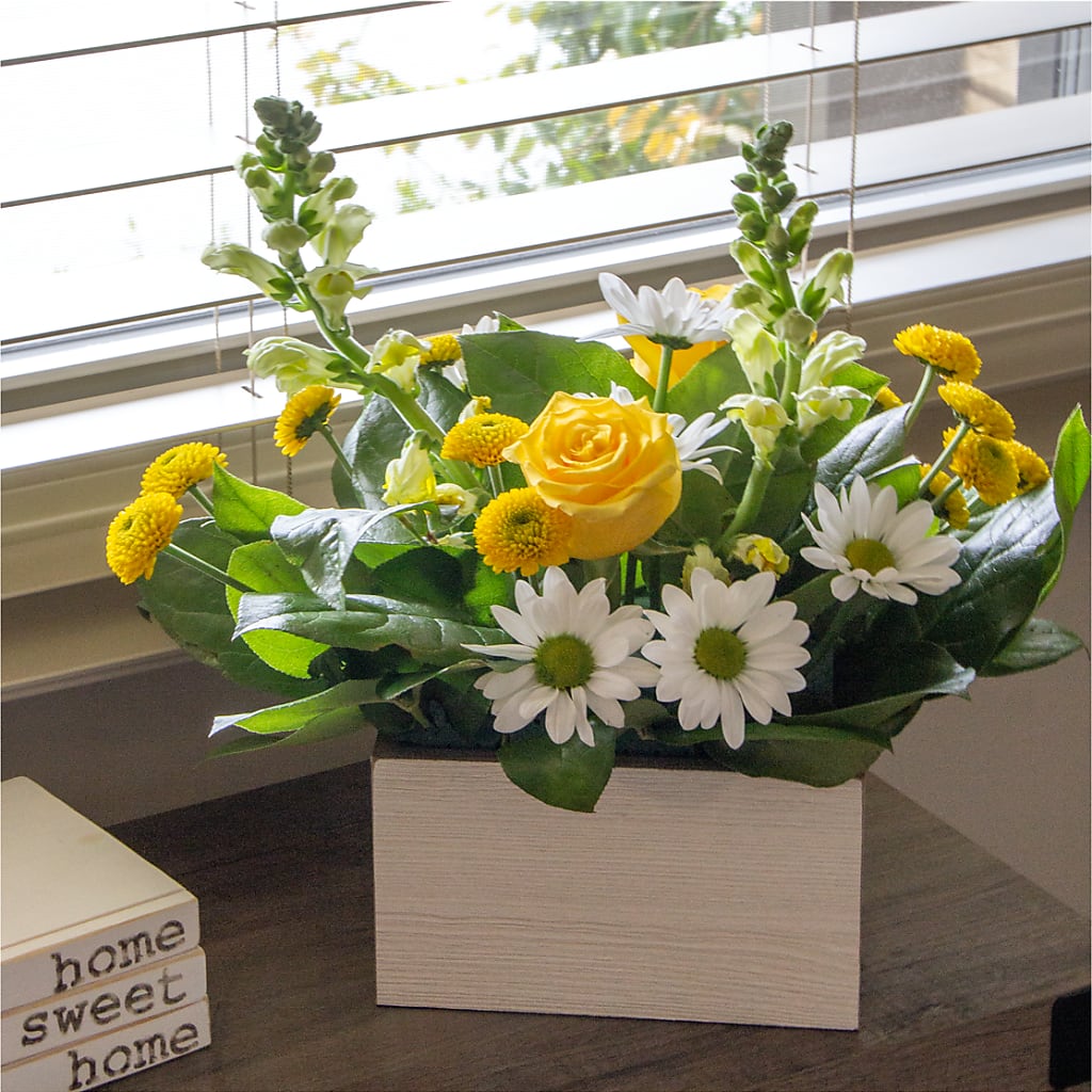 Sun Salutation Box Bouquet –  Dickson Florist, Dickson TN