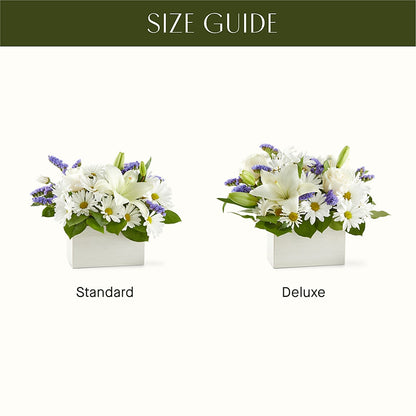 Beyond Blue Box Bouquet –  Dickson Florist, Dickson TN