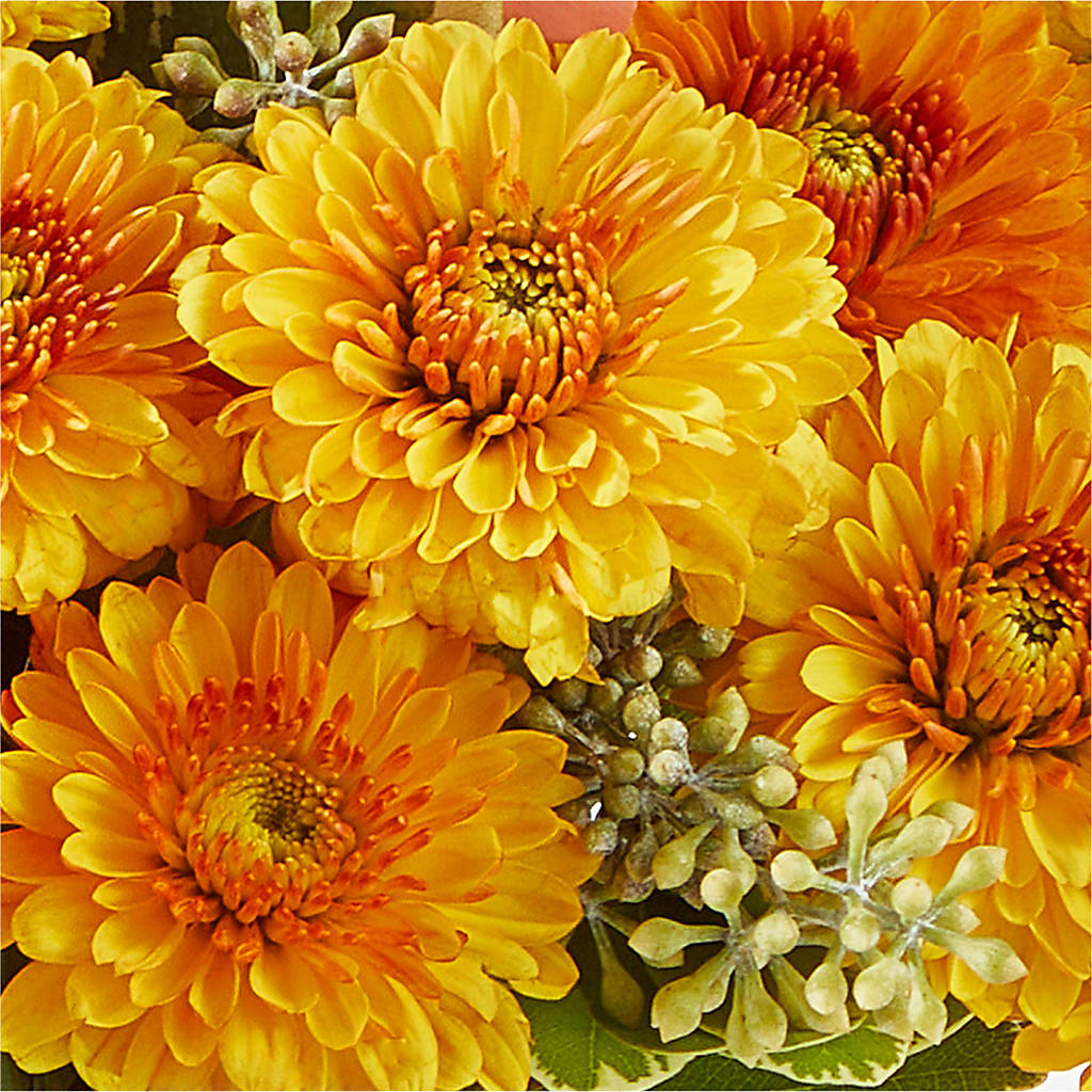 Peachy Pumpkin –  Dickson Florist, Dickson TN