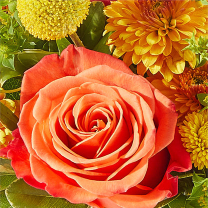 Gourdgeous Pumpkin –  Dickson Florist, Dickson TN