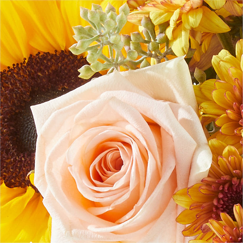 Pumpkin to Talk About Bouquet –  Dickson Florist, Dickson TN
