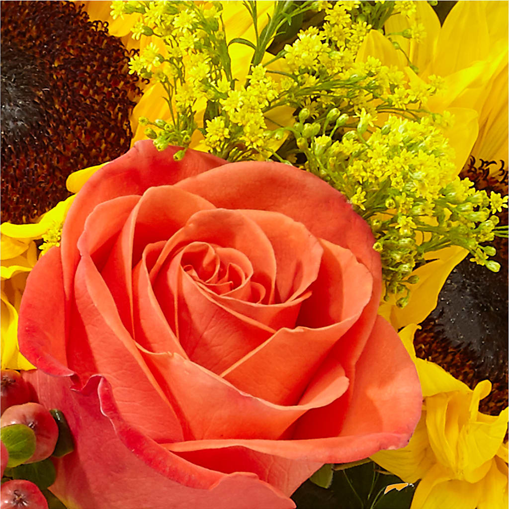 Pick of the Patch Pumpkin Bouquet –  Dickson Florist, Dickson TN