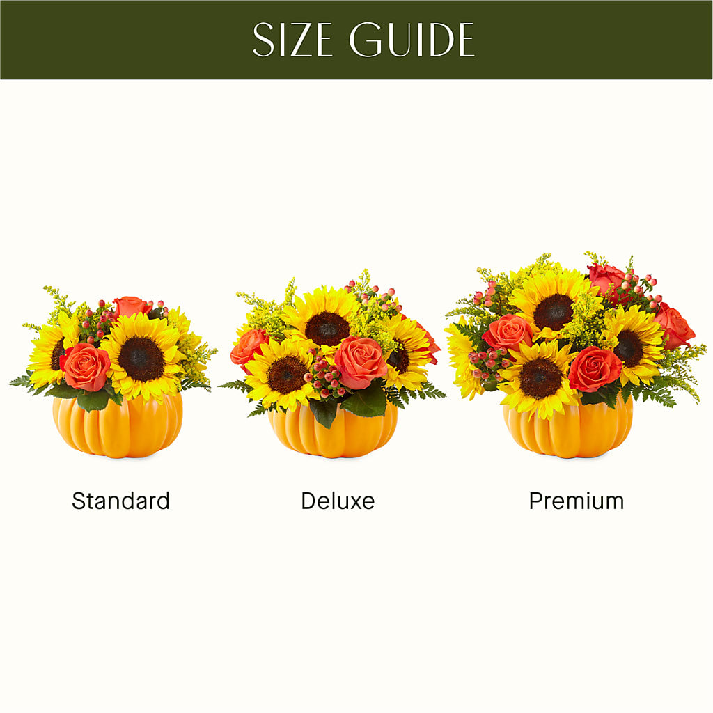 Pick of the Patch Pumpkin Bouquet –  Dickson Florist, Dickson TN