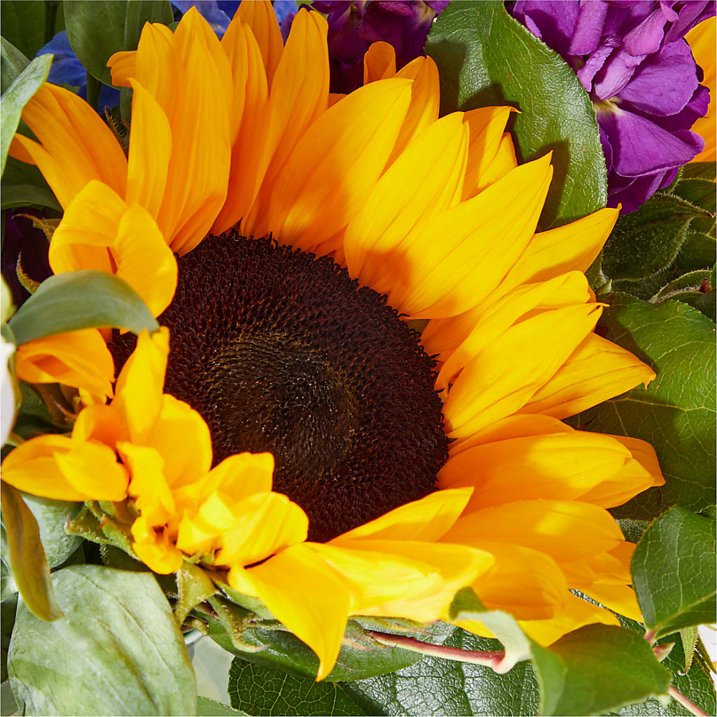 Catching Rays Bouquet –  Dickson Florist, Dickson TN