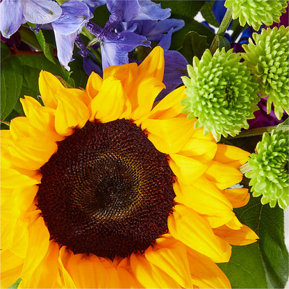 Catching Rays Bouquet –  Dickson Florist, Dickson TN
