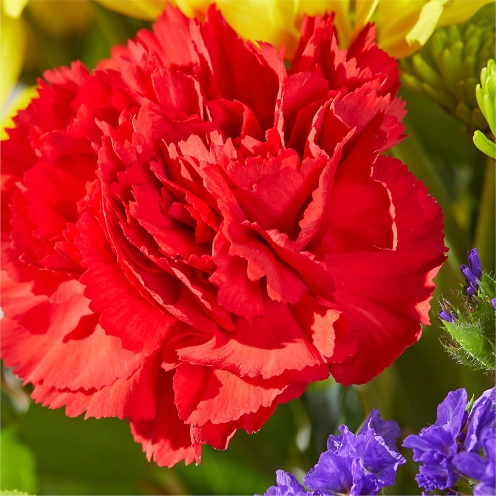 Brighter Days Bouquet –  Dickson Florist, Dickson TN