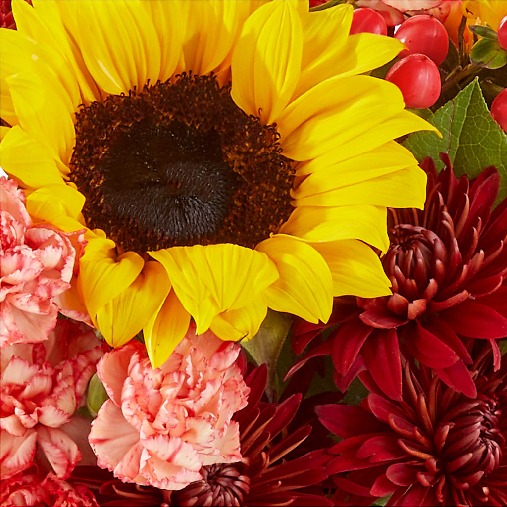 Fresh Cider Bouquet –  Dickson Florist, Dickson TN