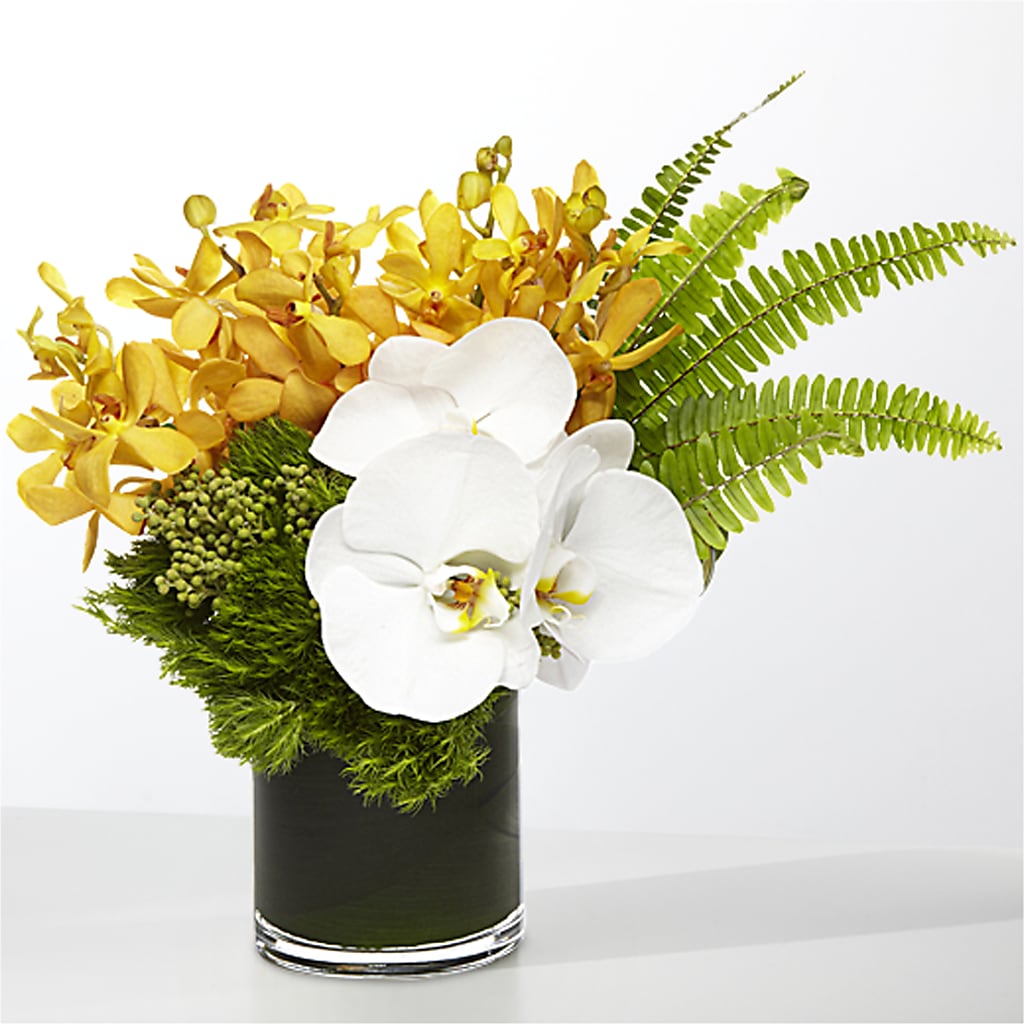 The Tropics –  Dickson Florist, Dickson TN