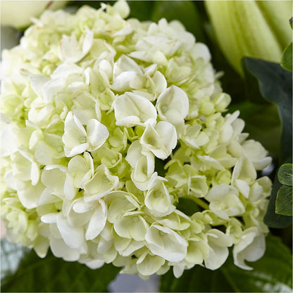 Classic Ivory – A Florist Original –  Dickson Florist, Dickson TN
