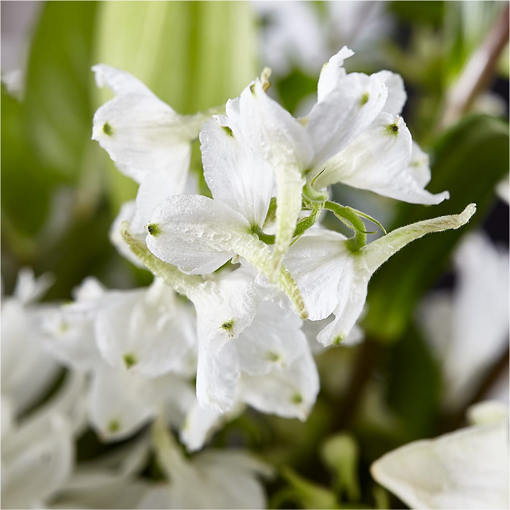 Classic Ivory – A Florist Original –  Dickson Florist, Dickson TN