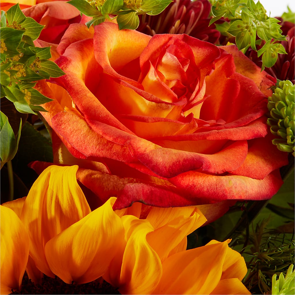 Harvest Festival Bouquet –  Dickson Florist, Dickson TN