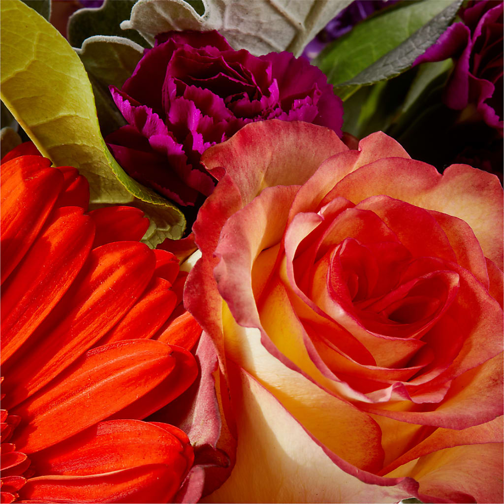 Sangria Bouquet –  Dickson Florist, Dickson TN
