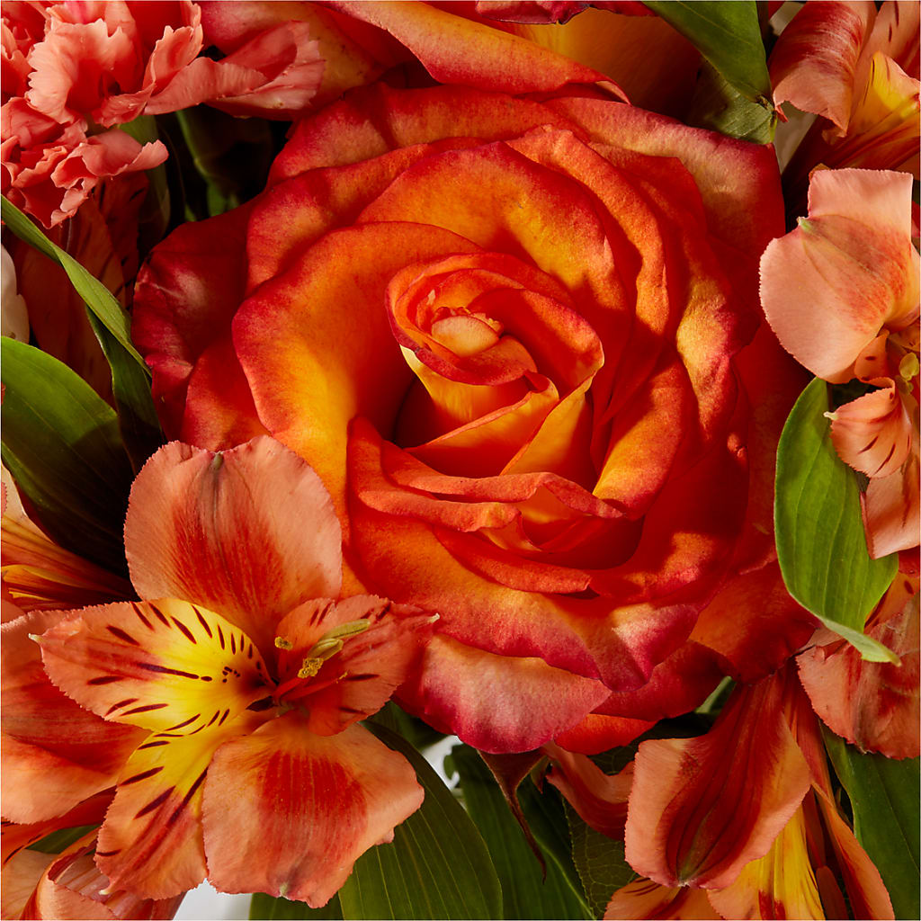 Apricot Glow Bouquet –  Dickson Florist, Dickson TN
