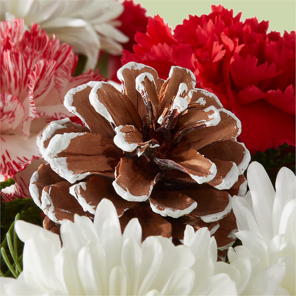 Candy Cane Lane Bouquet –  Dickson Florist, Dickson TN