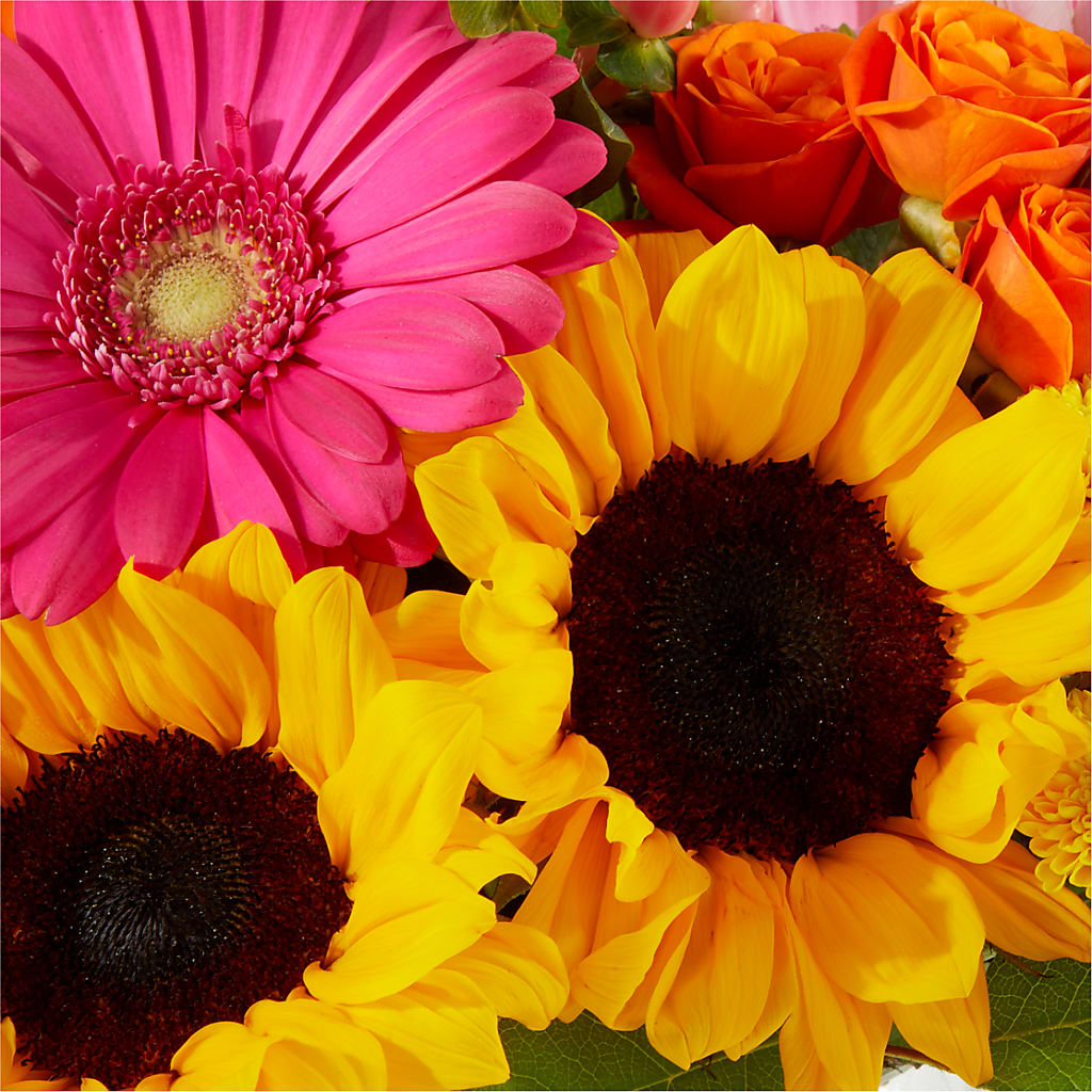 Beach Day Bouquet –  Dickson Florist, Dickson TN