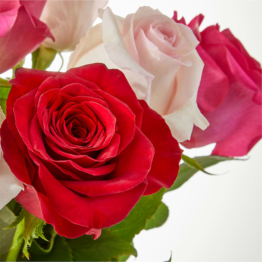 Charming Rose Bouquet –  Dickson Florist, Dickson TN