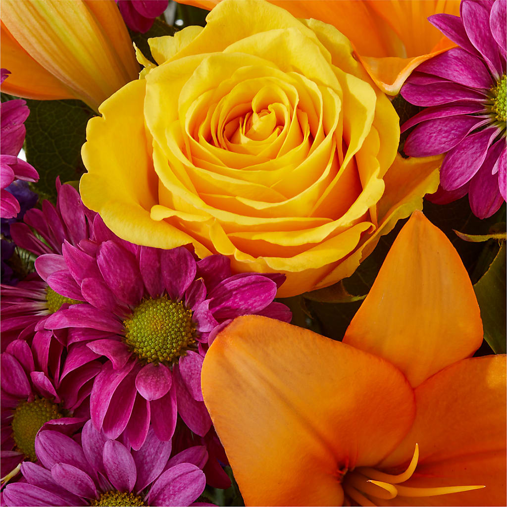 Colorful Visions Bouquet –  Dickson Florist, Dickson TN