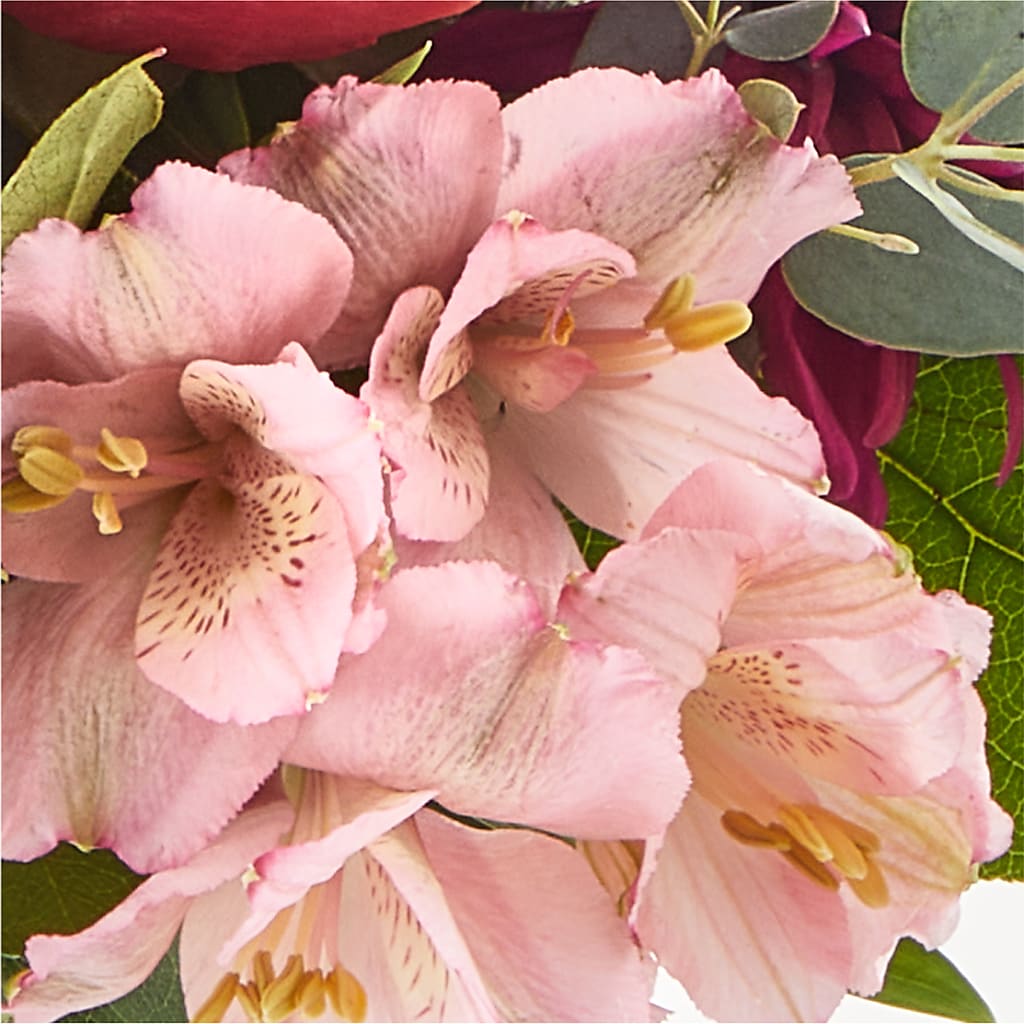 Berry Cobbler Bouquet –  Dickson Florist, Dickson TN