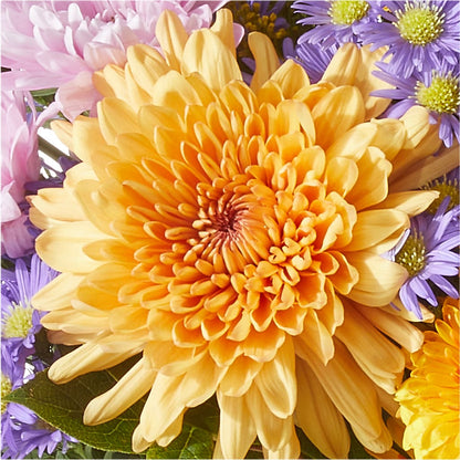 Countryside Bouquet –  Dickson Florist, Dickson TN