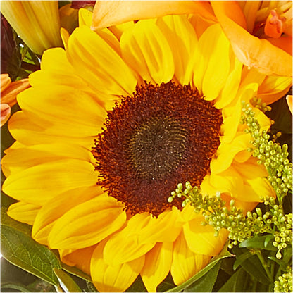 Seasons Change Bouquet –  Dickson Florist, Dickson TN