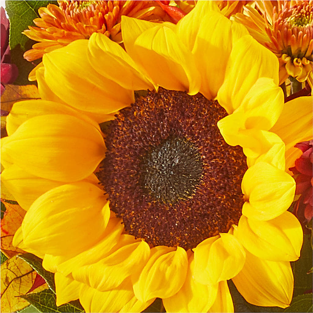 Sunny Side Bouquet –  Dickson Florist, Dickson TN