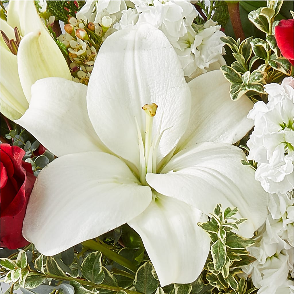 Twinkle Lights Bouquet –  Dickson Florist, Dickson TN