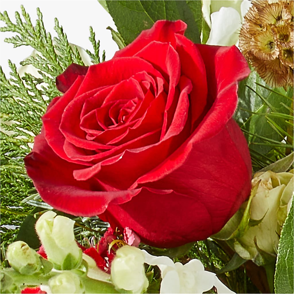 Deck the Halls Bouquet –  Dickson Florist, Dickson TN