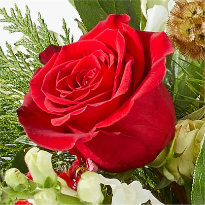 Deck the Halls Bouquet –  Dickson Florist, Dickson TN