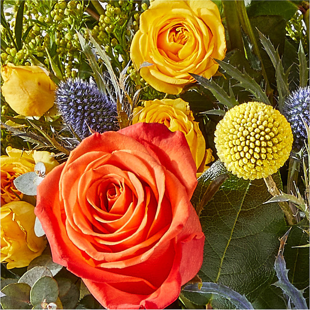 Disco Bouquet –  Dickson Florist, Dickson TN