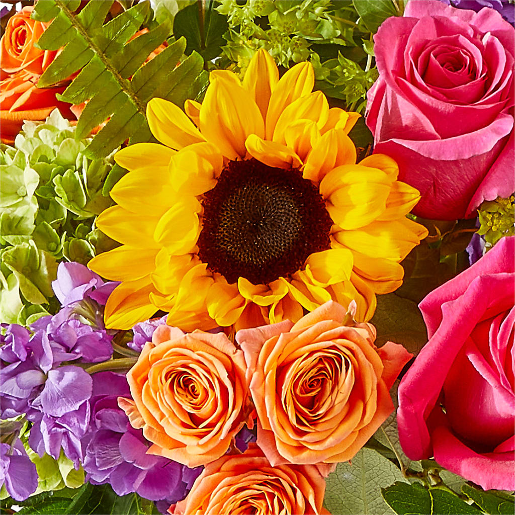 Vibrant Greetings Bouquet –  Dickson Florist, Dickson TN