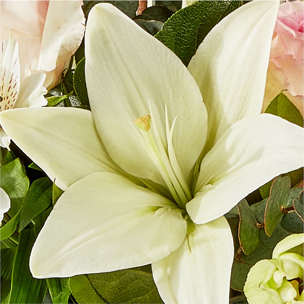 Ballet Slippers Bouquet –  Dickson Florist, Dickson TN