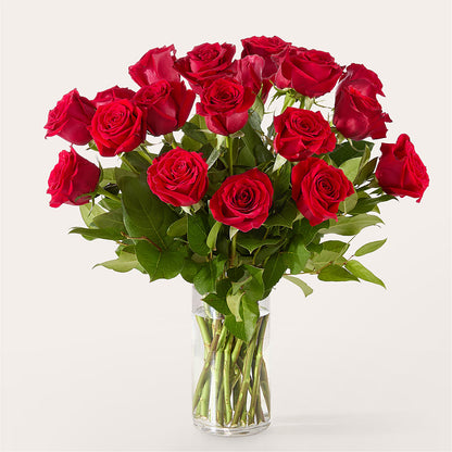 The One Red Rose Bouquet –  Dickson Florist, Dickson TN