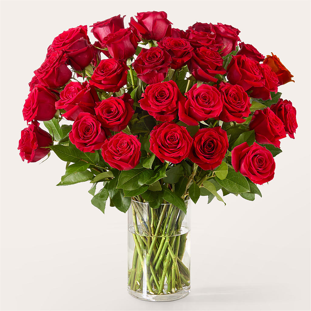 The One Red Rose Bouquet –  Dickson Florist, Dickson TN