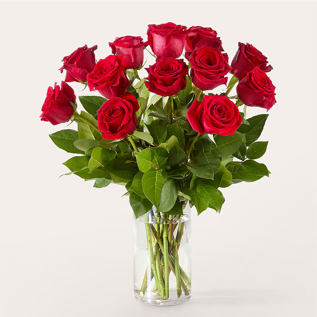 The One Red Rose Bouquet –  Dickson Florist, Dickson TN