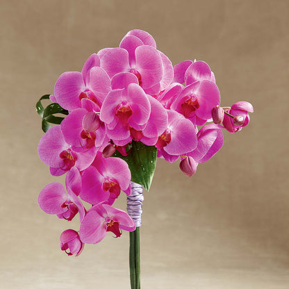 Glorious Bouquet –  Dickson Florist, Dickson TN