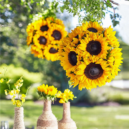 Sublime Garden Hanging Arrangement –  Dickson Florist, Dickson TN