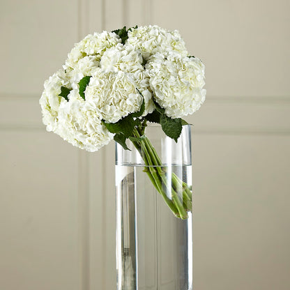 White Hydrangea Hand-Tied Bouquet –  Dickson Florist, Dickson TN